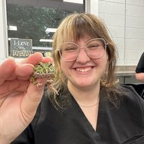 Frog Frog